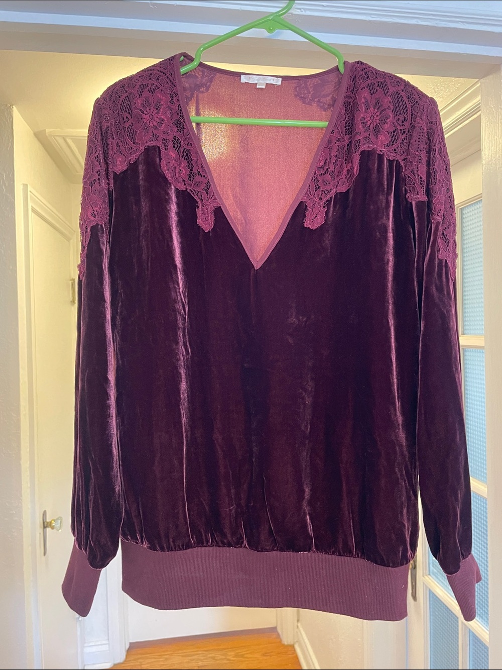 Goldhawk velvet Lace Trim Deep Plum V-Neck Top